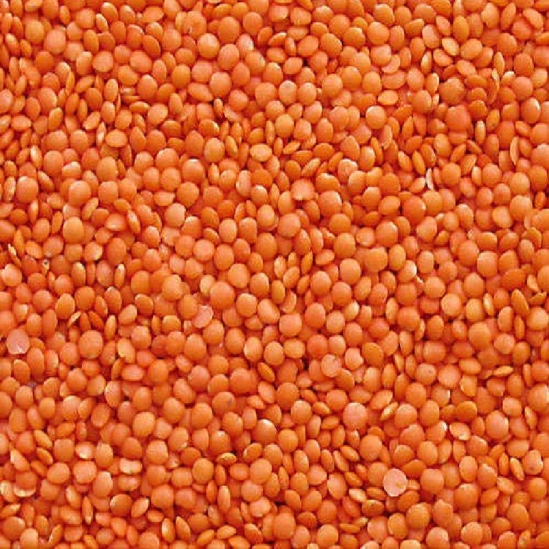 Masoor Dal - 500 g
