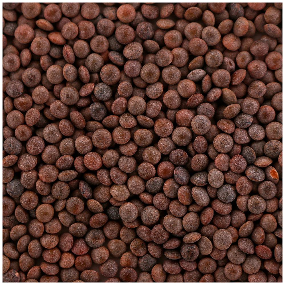 (Sabut) Whole Masoor - 250 g