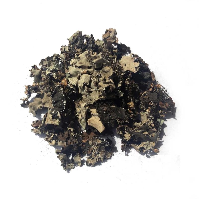Chadila (Stone Flower) - 25 g